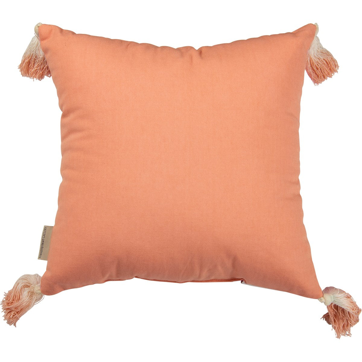 Beautiful Pillow