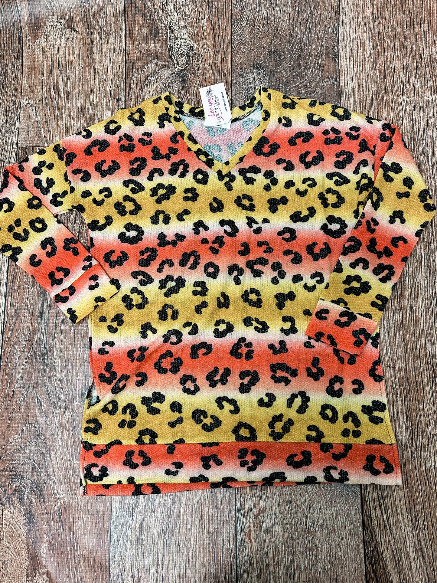 Leopard Print Long Sleeve V-Neck Top